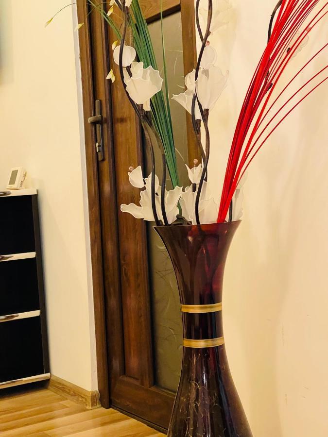 Casa Iris Apartment Iasi Ngoại thất bức ảnh