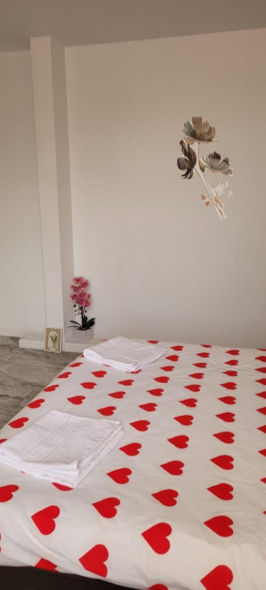 Casa Iris Apartment Iasi Ngoại thất bức ảnh